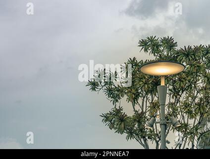 Glowing street light on Metal pole against Green bushes with Blue skies background. Composition in the city Park, Copy space, Selective focus. Stock Photo