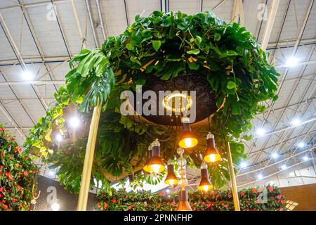 Round chandelier decorated with plants with hanging bulbs. Stock Photo