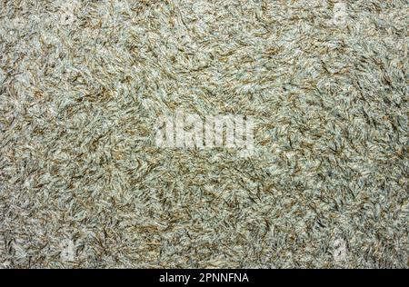 Abstract background with hairs and soft texture. Gray - green with a golden hue Stock Photo