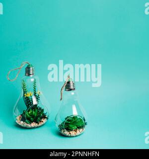 Close up mini set succulents arrangement light bulb Stock Photo