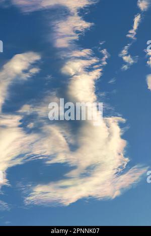Moving clouds up in the very blue sky. Stock Photo