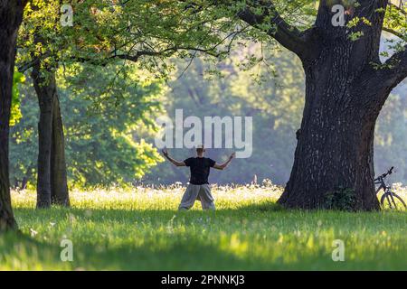 Yoga under old trees in Rosensteinpark, landscape park in Bad Cannstatt, Stuttgart, Baden-Wuerttemberg, Germany Stock Photo