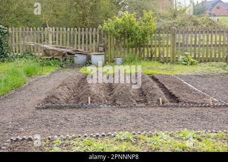 The beds of the earth. Soil, ground. Formation of beds for planting plants in the garden. Planning and making a new vegetable garden with raised beds. Stock Photo