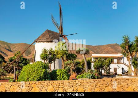 Open Air Museum Centro de Artesania Molino de Antigua, Antigua, Fuerteventura, Canary Islands, Spain, Antigua, Fuerteventura, Canary Islands, Spain Stock Photo