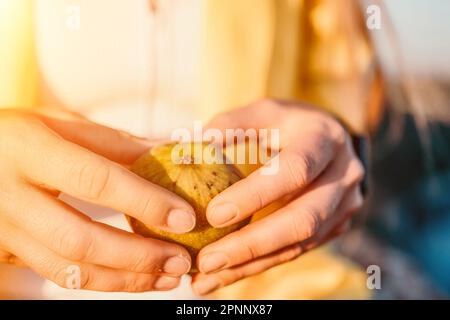 Woman's hands opening a fig to eat. Fresh ripe fig fruit in the hands. A young woman eats figs on the beach, near sea. Ficus carica, Fig - green Stock Photo