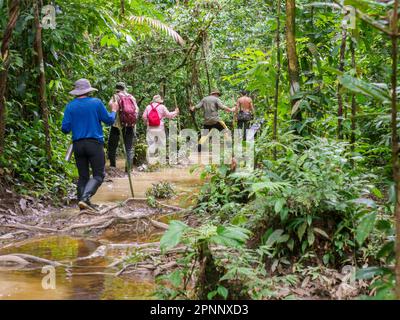 Leticia, Colombia - Dec, 2021: Trekking through rainforest of the Amazon jungle. Amazonia. South America Stock Photo