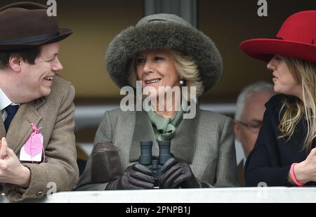 File photo dated 11/3/2015 of he Duchess of Cornwall (centre) watches the Neptune Investment Management Novices' Hurdle with son Tom Parker-Bowles (left) and daughter Laura Lopes (right) on Ladies Day during the Cheltenham Festival at Cheltenham Racecourse. The Queen Consort's son has hit back at claims Camilla played an 'end game' to become Queen - saying she 'just married the person she loved'. Tom Parker Bowles, speaking on The News Agents podcast, insisted: 'I think change happens but I don't care what anyone says - this wasn't any sort of end game.' Issue date: Thursday April 20, 2023. Stock Photo