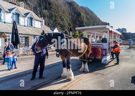 Horse Tram, horse-drawn passenger tram, Douglas, Isle of Man Stock Photo
