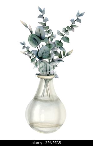 Watercolor eucalyptus branches bouquet in transparent glass vase illustration. Hand drawn interior home decor clipart isolated on white background. Ec Stock Photo