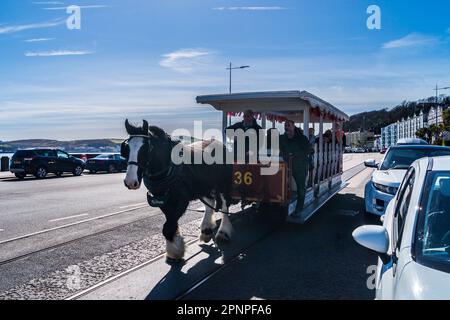 Horse Tram, horse-drawn passenger tram, Douglas, Isle of Man Stock Photo