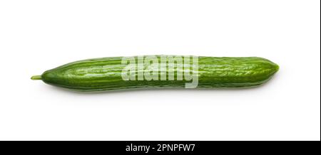 Fresh green cucumber isolated on the white background. Stock Photo