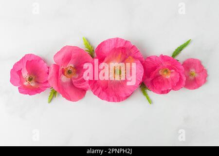 Flower composition. Pink poppy flowers on white marble background. Festive background. Flat lay. Floral pattern. Top view Stock Photo