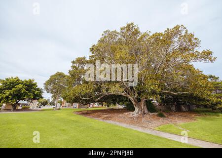 Historic Town of Port Elliot in South Australia in Australia Stock Photo