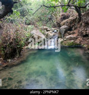 A mountain stream flows among large rocks and thickets and flows into a small lake. Stock Photo