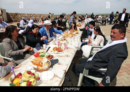 Yazidi families eat various dishes they made in their homes and left them on common tables for guests during the celebration of the Red Wednesday Holiday in Bacinê village. Yazidi Kurds living in the Bacine village of Midyat district and Besiri districts in Turkey celebrated the Red Wednesday holiday, known as 'Charshema Sor' in Kurdish, joyfully with various entertainments. Men, women and children of 10 Yazidi families living in the village of Bacine gathered at the Yazidi Cultural Center after morning prayers, wearing the most colorful and beautiful dresses. Yazidis believe that April is a h Stock Photo