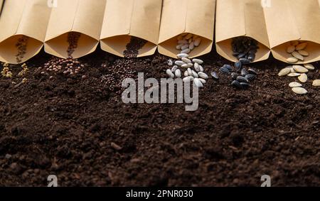 Sow different seeds in the garden. Selective focus. Nature. Stock Photo