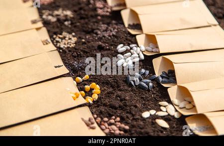 Sow different seeds in the garden. Selective focus. Nature. Stock Photo