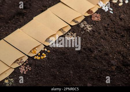 Sow different seeds in the garden. Selective focus. Nature. Stock Photo