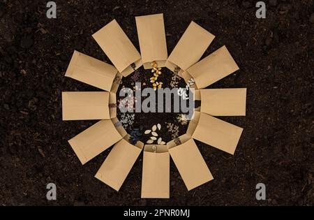 Sow different seeds in the garden. Selective focus. Nature. Stock Photo
