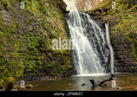 Falling Foss North Yorkshire Stock Photo