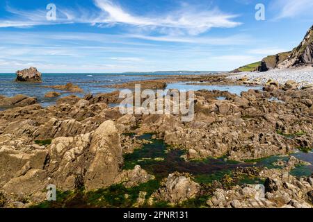 Scenic, Low Tide View of Greencliff Beach, With Pebbles, Exposed Rocks, Rock Pools and Sea View Towards Croyde and Baggy Point #2: Greencliff, Stock Photo