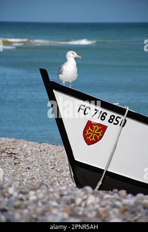 Seagull, sitting on a fishing boat in front of blue sea near Yport Stock Photo