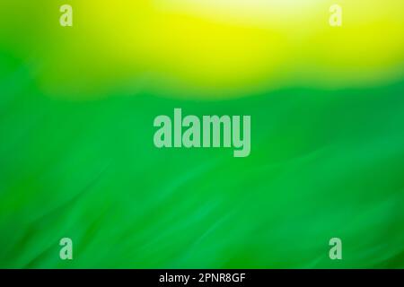 Motion blurred defocused abstract green background. Green  abstract defocused motion blurred background. Stock Photo