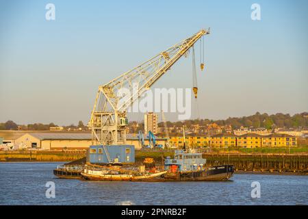 Devon Sampson floating crane on the river Medway Stock Photo