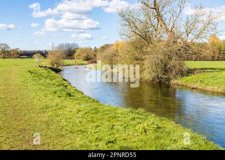 The Thames Path National Trail beside the infant River Thames 2 km from its source at Thames Head on the Cotswolds near Kemble, Gloucestershire, Engla Stock Photo