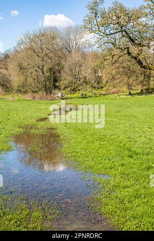 The start of the Thames Path at the source of the infant River Thames at Thames Head on the Cotswolds near Kemble, Gloucestershire UK. Stock Photo