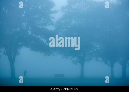 A dense fog wraps a park in Ilford, East London, in the morning. Stock Photo