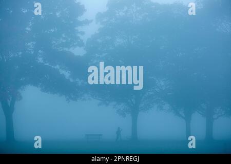 A dense fog wraps a park in Ilford, East London, in the morning. Stock Photo