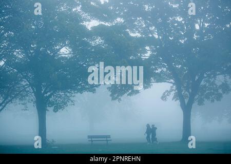 A dense fog wraps a park in Ilford, East London, in the morning. Stock Photo