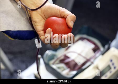 Man blood donor in chair during donation with red bouncy ball in hand, selective focus. Concept of donorship, transfusion, health care Stock Photo