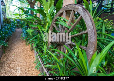 Decorative wheel from a cart in the courtyard of a tropical garden at summer day in island Koh Phangan, Thailand, close up, travel and nature concept Stock Photo