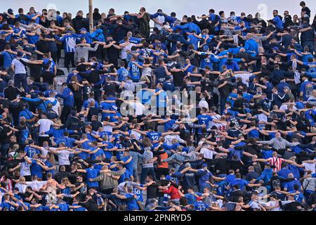 Artemio Franchi stadium, Florence, Italy, April 20, 2023, Lorenzo Venuti (ACF  Fiorentina) celebrates after a goal during ACF Fiorentina vs Lech Pozn  Stock Photo - Alamy