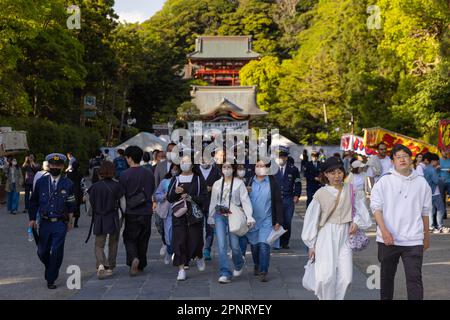 Kamakura, Japan. 16th Apr, 2023. Visitors and tourists enjoy their stay at Tsuruoka Hachimangu shrine during the 65th Kamakura festival. After three and a half years of Covid-19 pandemic, international tourists have returned to Japan and its famous tourist destinations. (Photo by Stanislav Kogiku/SOPA Images/Sipa USA) Credit: Sipa USA/Alamy Live News Stock Photo