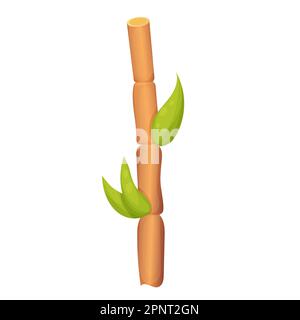 Bamboo stem, stick with green leaves japan plant, tropical in cartoon style isolated on white background. Vector illustration Stock Vector