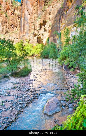 Virgin River at the the mouth of The Narrows in Zion National Park, Utah, USA. Stock Photo