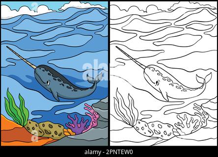 Narwhal Coloring Page Colored Illustration Stock Vector