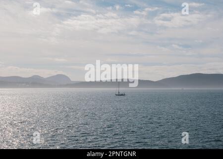 summer sailboat in distance on sunny, cloudy day in Pacific Northwest Stock Photo