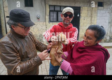 Luis garcia of mexico left hi-res stock photography and images - Alamy