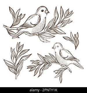 NIGHTINGALE ON TEA BRANCH Songbirds Sits On A Branch Monochrome Hand Drawn Sketch In Chinese Style Cartoon Clip Art Vector Illustration For Print Stock Vector