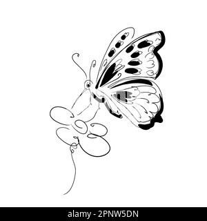 Stock vector illustration. Butterfly and flower.Print. Stock Vector