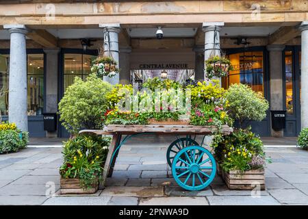 London,UK -18 April 2023, Flora filled cart, advertising London's famous old Flower Market, Covent Garden. Stock Photo