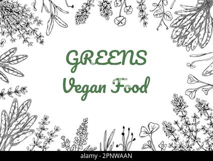 Herbs and green vegetables horizontal design. Hand draw background with cooking ingredients in sketch style. Detailed vector illustration Stock Vector