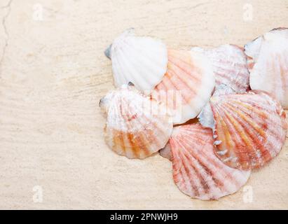 Close up of small colorful shells with shallow depth of field Stock Photo