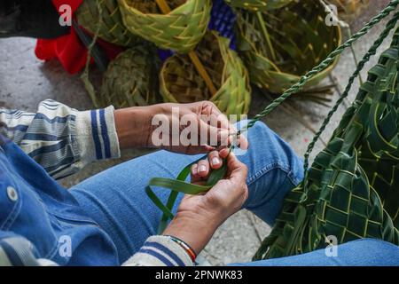 Lydianna Dávila weaves baskets out of palm fronds at the La Goyco Community Workshop in San Juan, Puerto Rico on February 5, 2022. Dávila says she adapts ancestral skills, which she learned from her brother, to weave baskets and flowerpots. (Coraly Cruz Mejías/Global Press Journal) Stock Photo