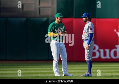 Chicago Cubs' Dansby Swanson before a baseball game, Sunday, May 21, 2023,  in Philadelphia. (AP Photo/Matt Rourke Stock Photo - Alamy