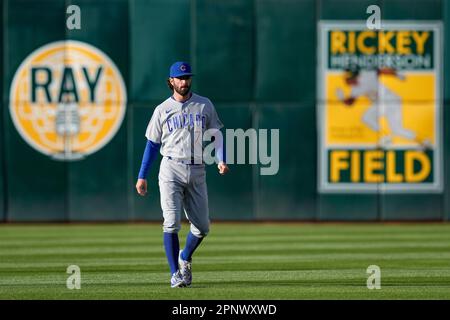Chicago Cubs' Dansby Swanson before a baseball game, Sunday, May 21, 2023,  in Philadelphia. (AP Photo/Matt Rourke Stock Photo - Alamy